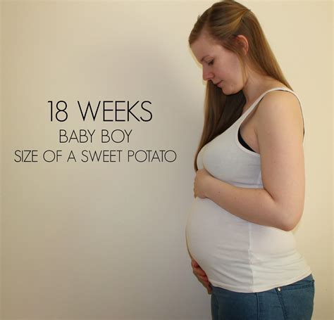 18 weeks pregnant no bump|18 week pregnancy chart.